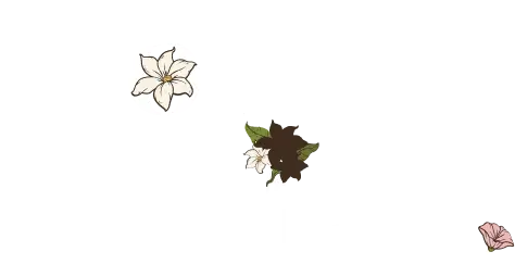 Flowers Mart