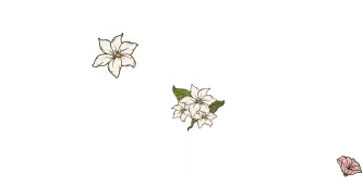 Flowers Mart